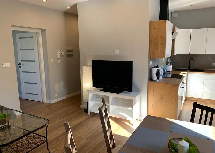 Daire Grey 50 M2 Tarnowskie Góry