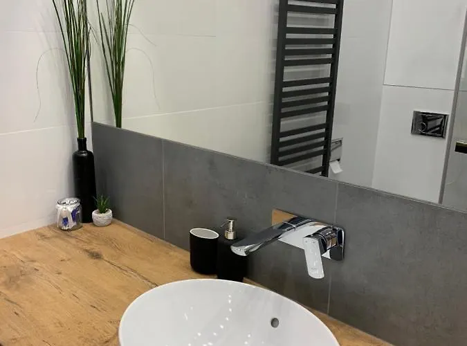 Daire Grey 50 M2 Tarnowskie Góry